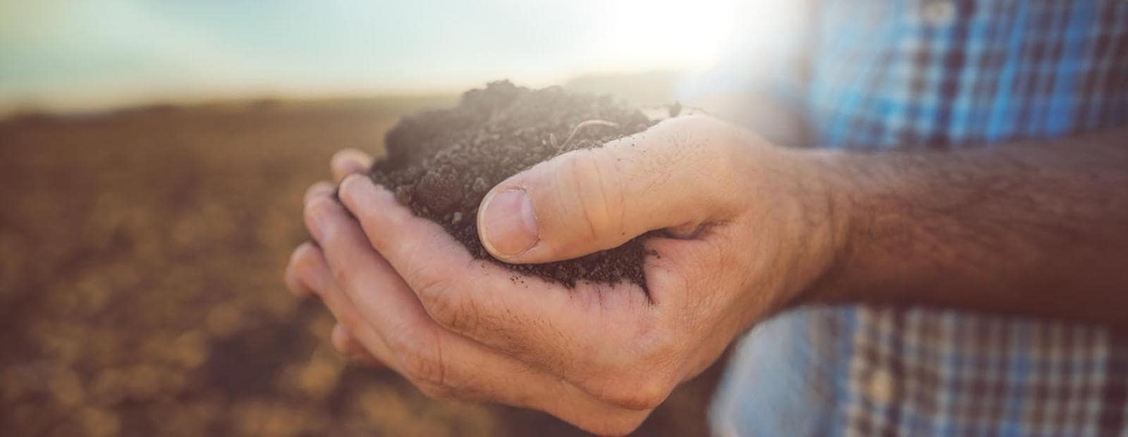 Hands holding a soil