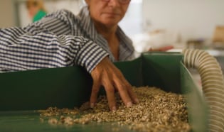 Native Grains
