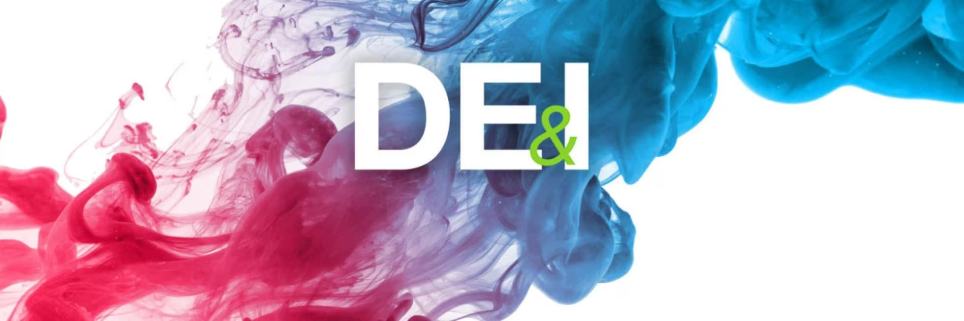 DEI banner